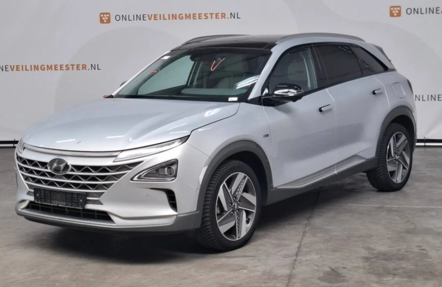 Hyundai Nexo Domeinen